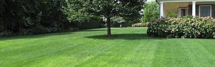 AUTRES : ÉVACUATION / APPORT TERRE, GRAVATS / DÉSSOUCHAGE …